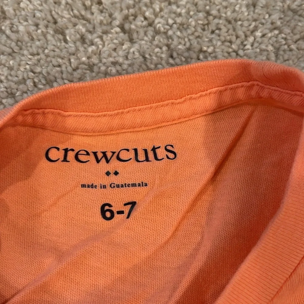 Crew cuts by J. Crew set of two tee shirts, size 6-7